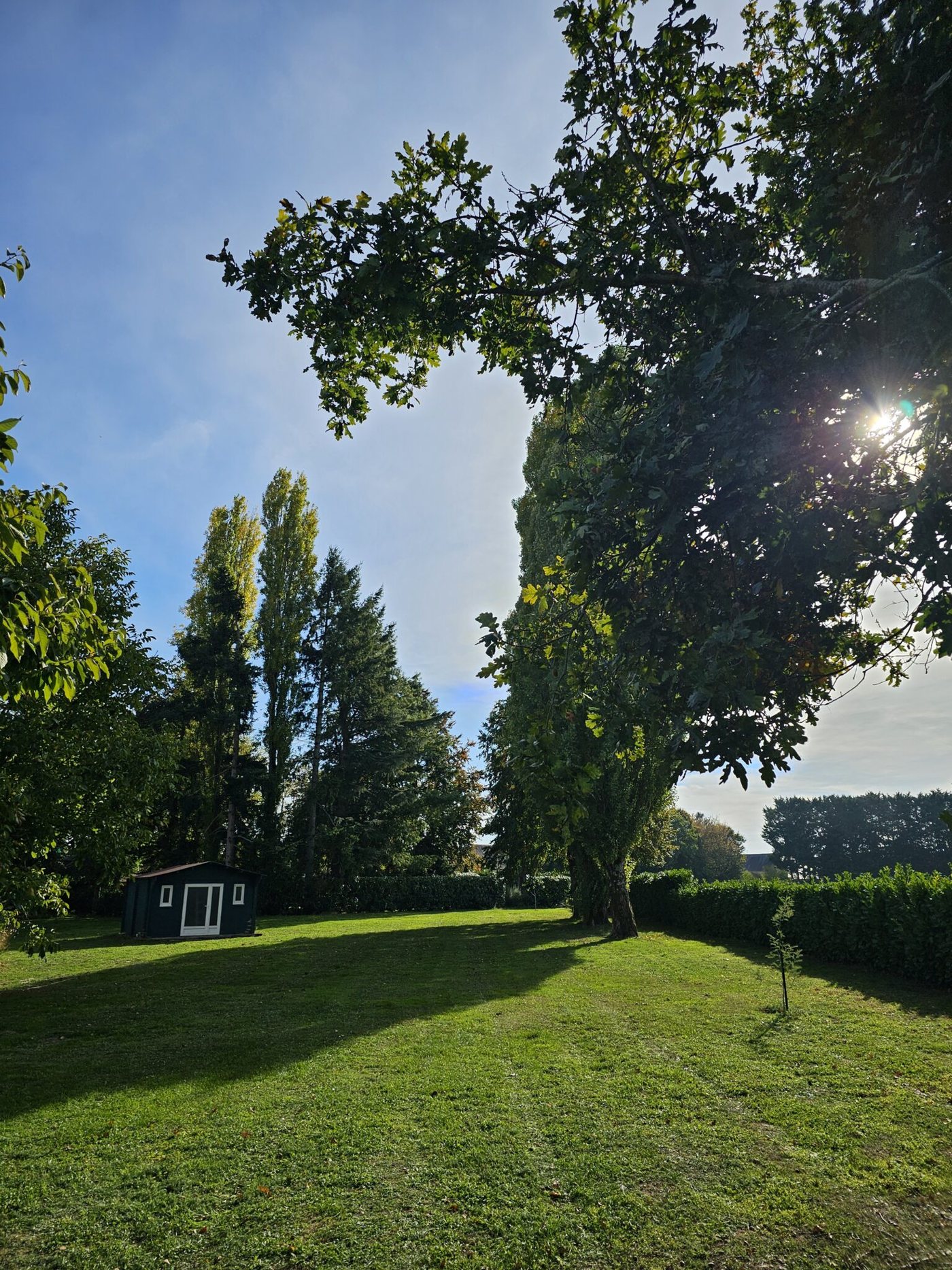 Jardin arboré